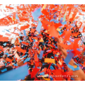 Celebrate party pleasantly surprised handheld confetti